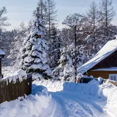 Ferie zimowe: Kiedy w Podlaskiem i Podkarpackiem? Pełny kalendarz